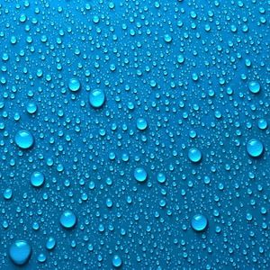 Meet your Posher, Jesse